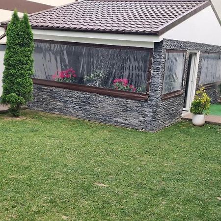 Casa Gogu Hotell Năvodari Exteriör bild